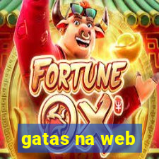 gatas na web